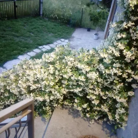 La Maison De Papagran Cir Charvensod-0007 Aosta